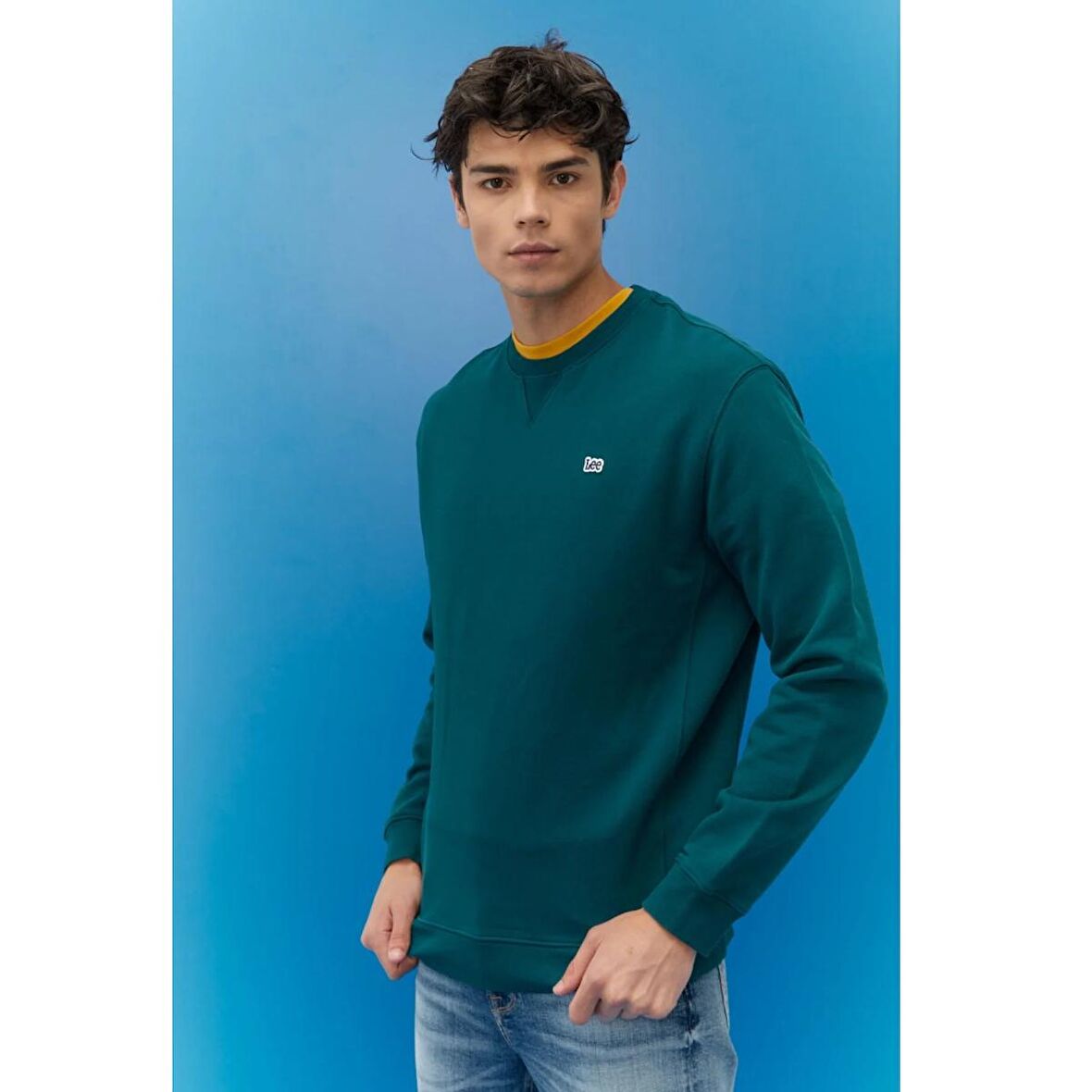 Regular Fit Normal Kesim %100 Pamuk Bisiklet Yaka Şardonlu Sweatshirt