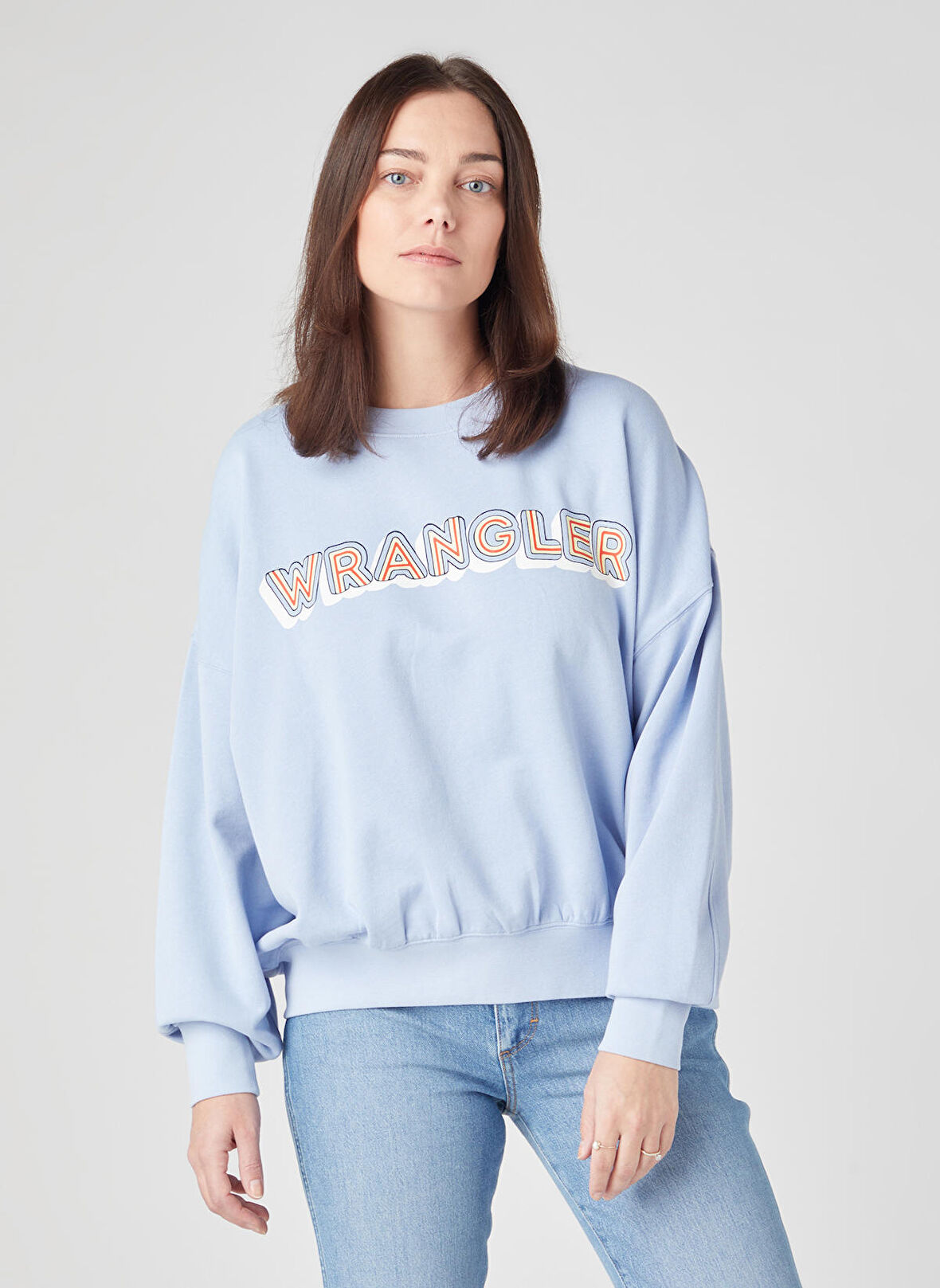 Regular Fit Normal Kesim %100 Pamuk Bisiklet Yaka Mavi Sweatshirt