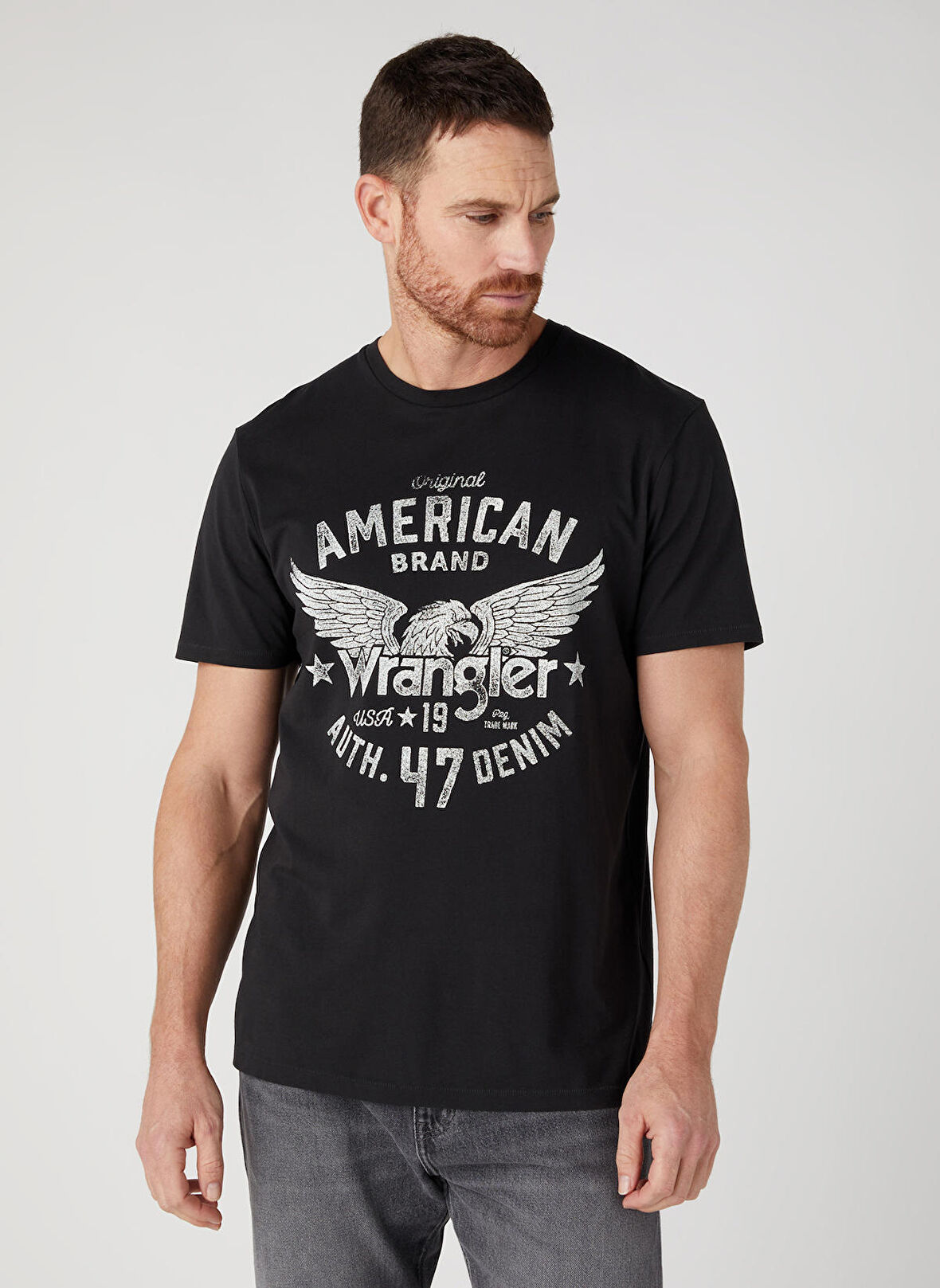 Regular Fit Normal Kesim %100 Pamuk Bisiklet Yaka Siyah Tişört