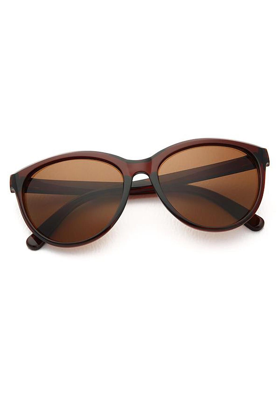 Aqua di Polo 1987 Kahverengi Cat Eye Kadın Güneş Gözlüğü APSN001402