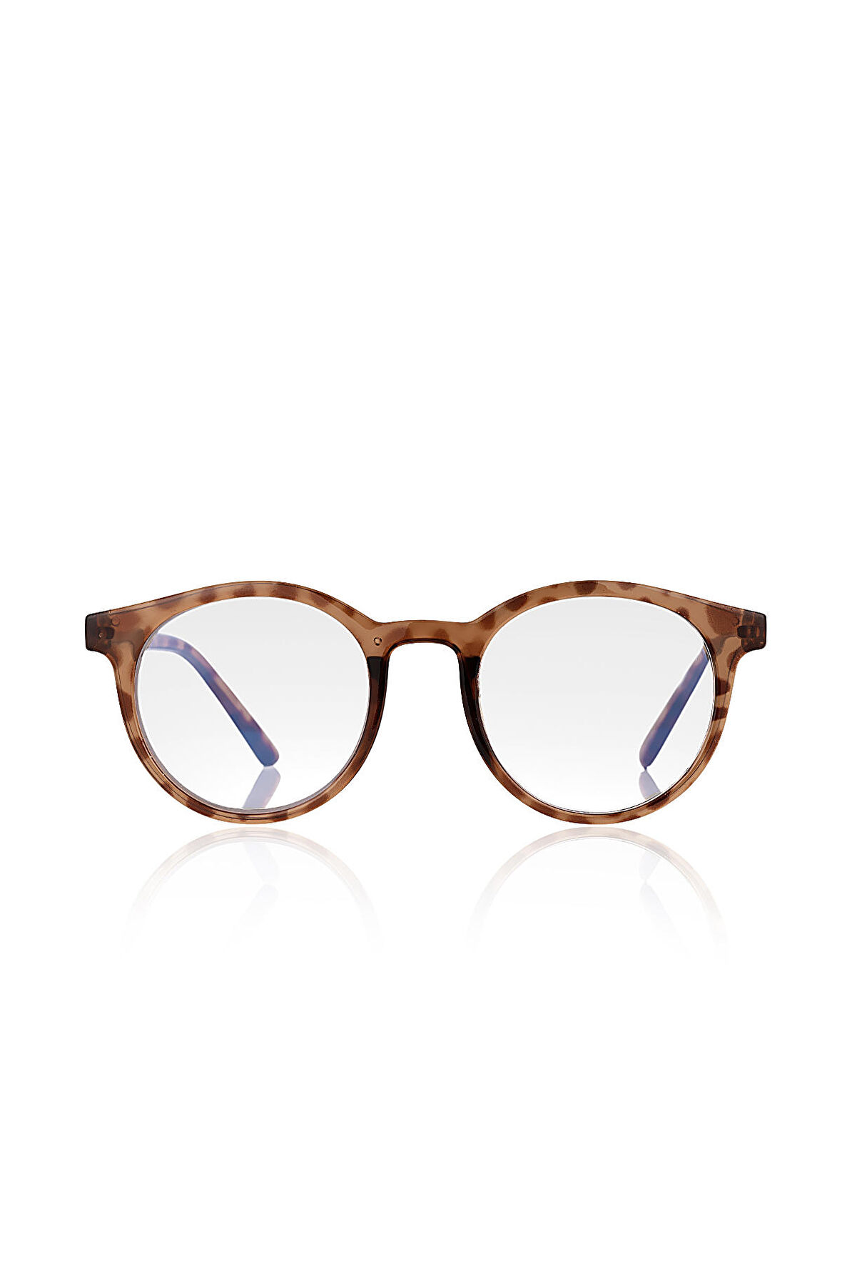 Aqua di Polo 1987 Kahverengi Kadın Ekran Gözlüğü APSO001203