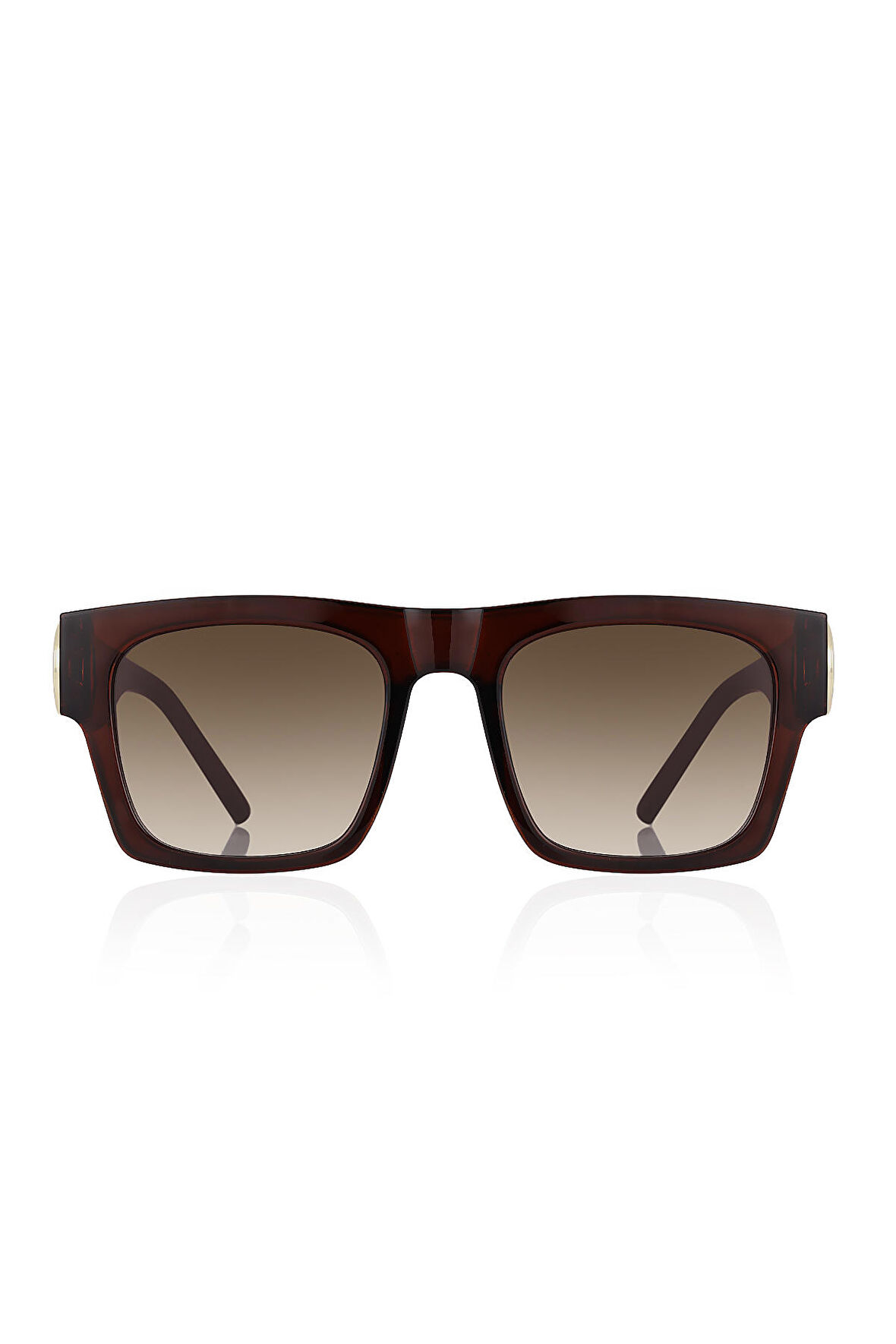 Aqua di Polo 1987 Kadın Kahverengi Güneş Gözlüğü APSU037502