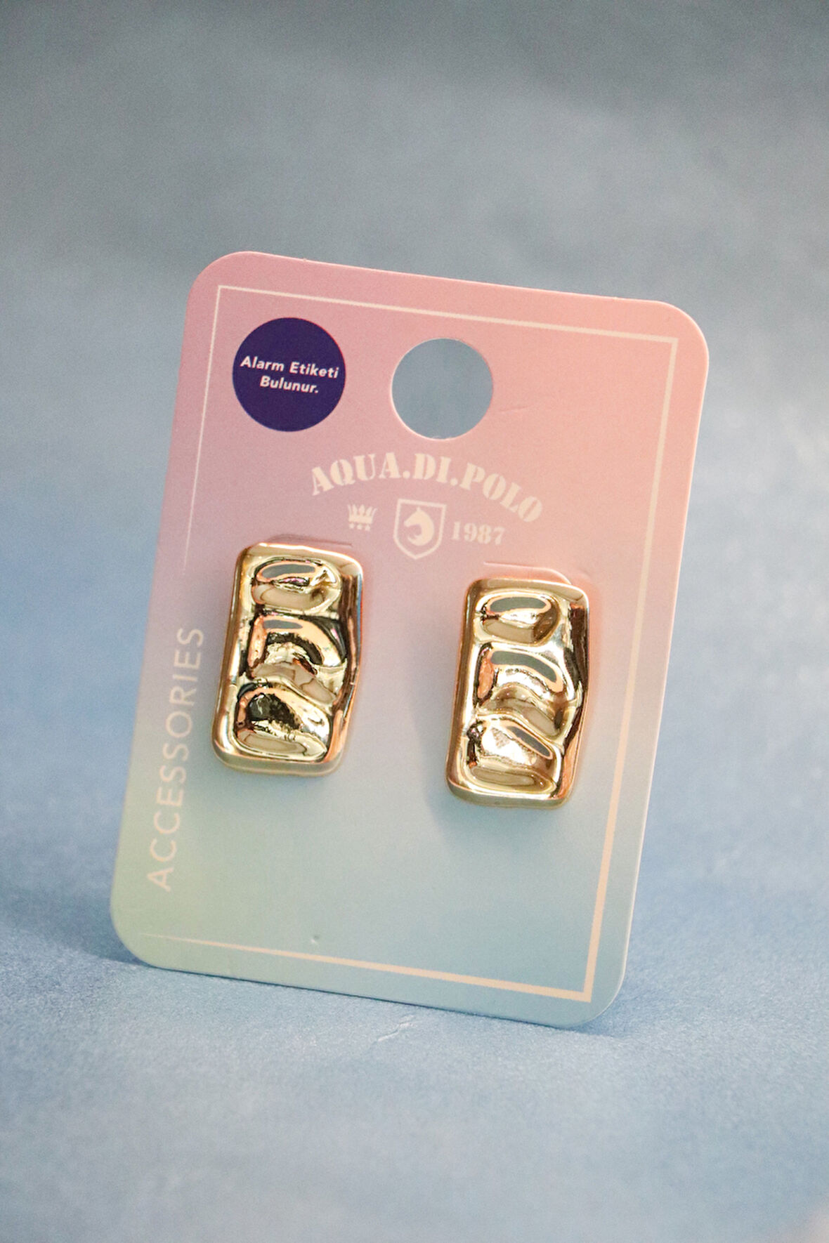 Kadın Gold Geometrik Küpe