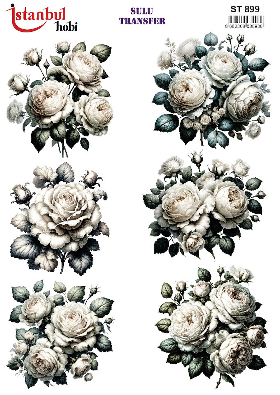 İstanbul Hobi Sulu Transfer ST899 (25x35)