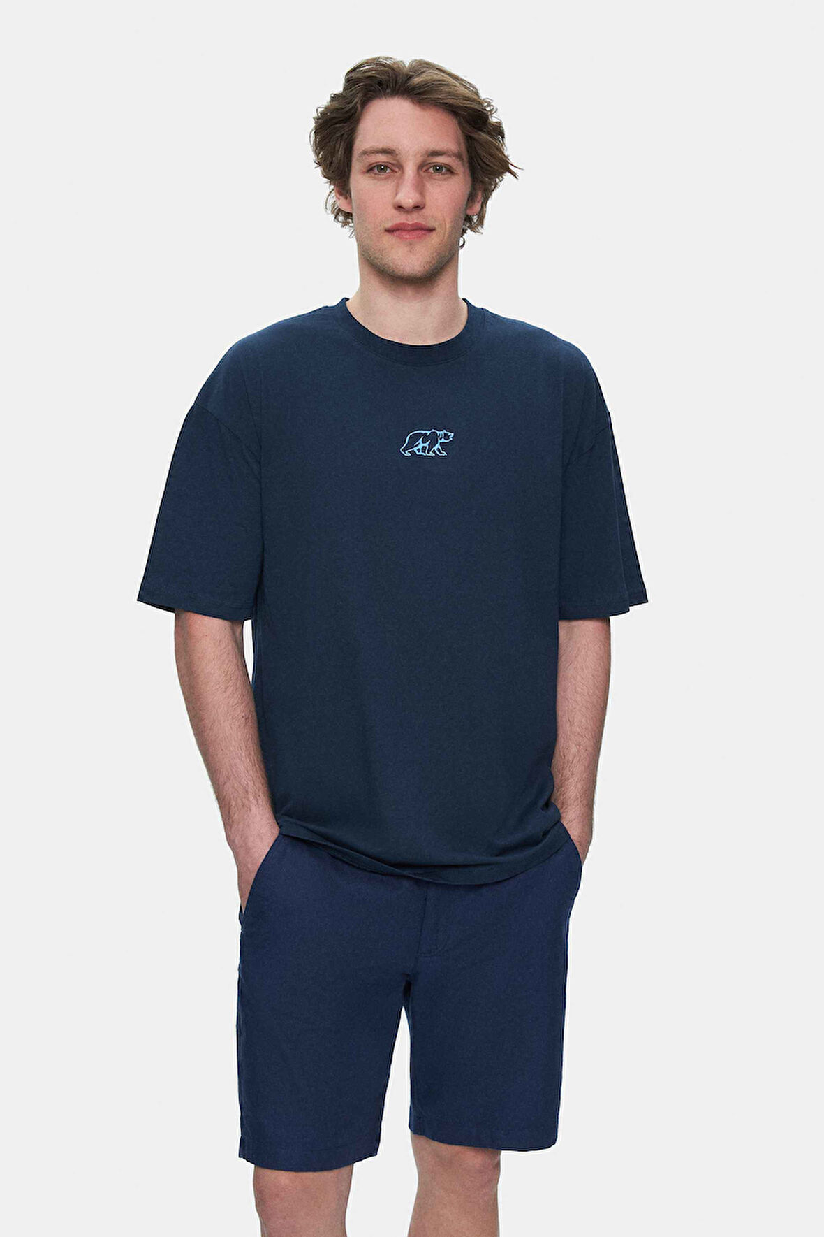 SINCLAIR Lacivert Nakışlı Bisiklet Yaka Baskılı Standard Fit Erkek Tshirt