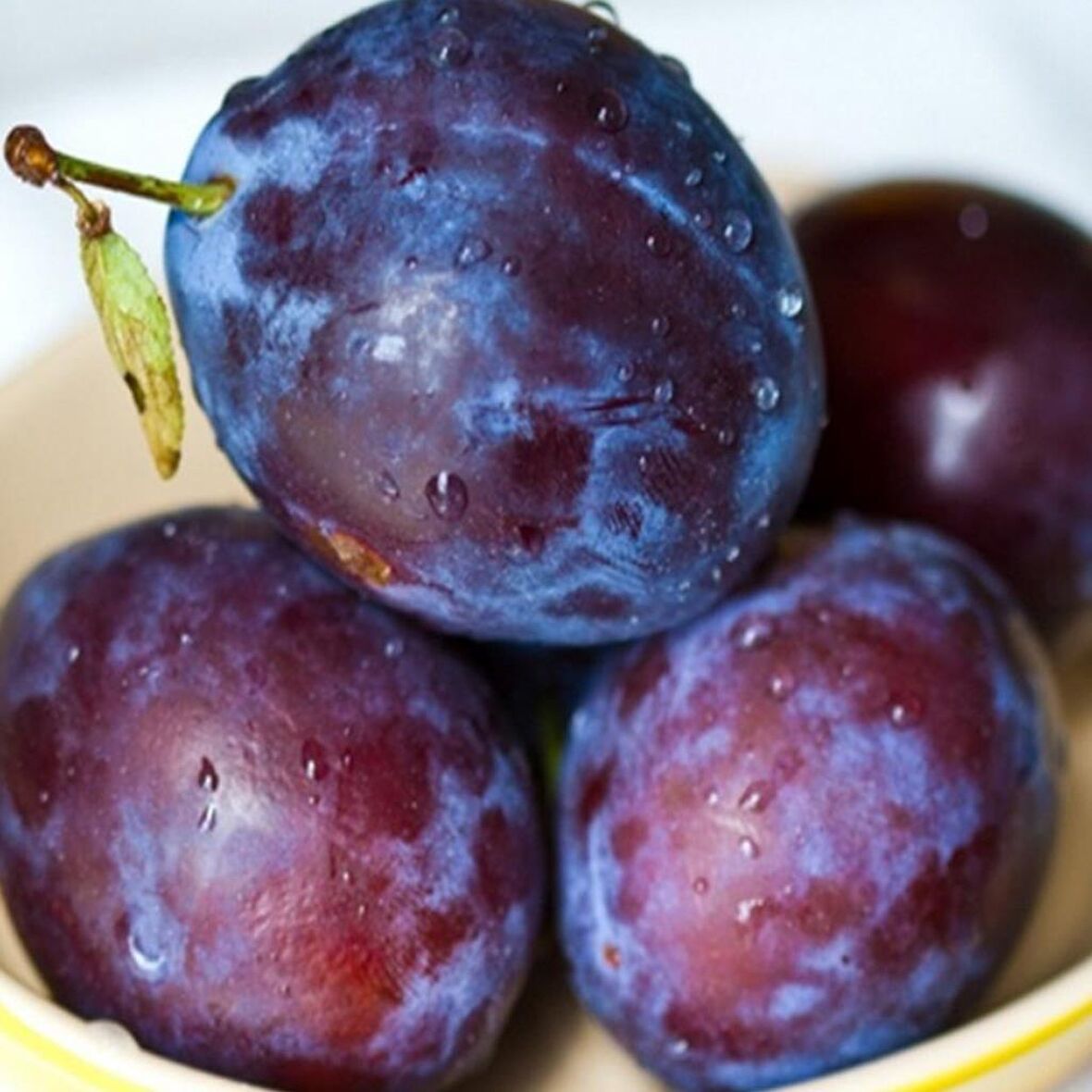 Tüplü Aşılı Yüksek Verimli Aromatik Freze Japon Erik Fidanı