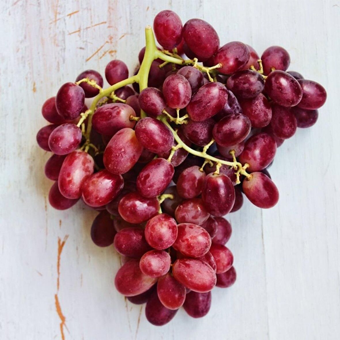 Tüplü Çekirdeksiz İri Crimson Seedless Üzüm (Asma-Bağ) Fidanı