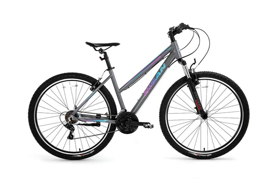 BİSAN ATHENA DAĞ BİSİKLETİ 48 CM HD 27.5 JANT 21 VİTES METALİK GRİ MAVİ - MOR