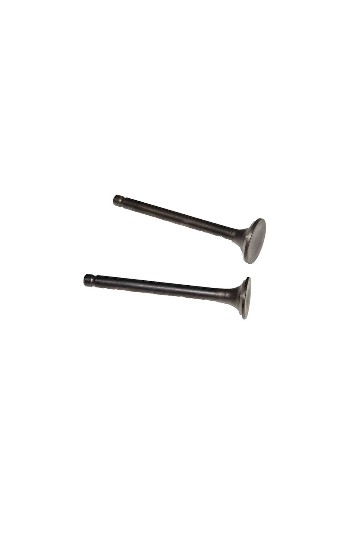 Scooter Emme Egzoz Sibobu Takım