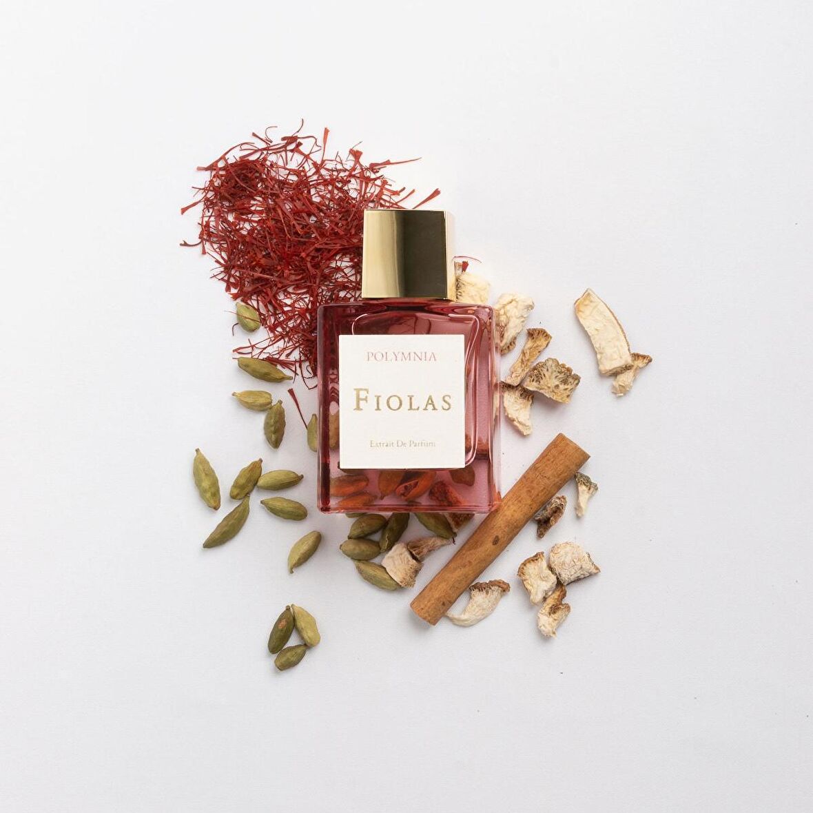 POLYMNIA EXTRAIT DE PARFUM 50 ML