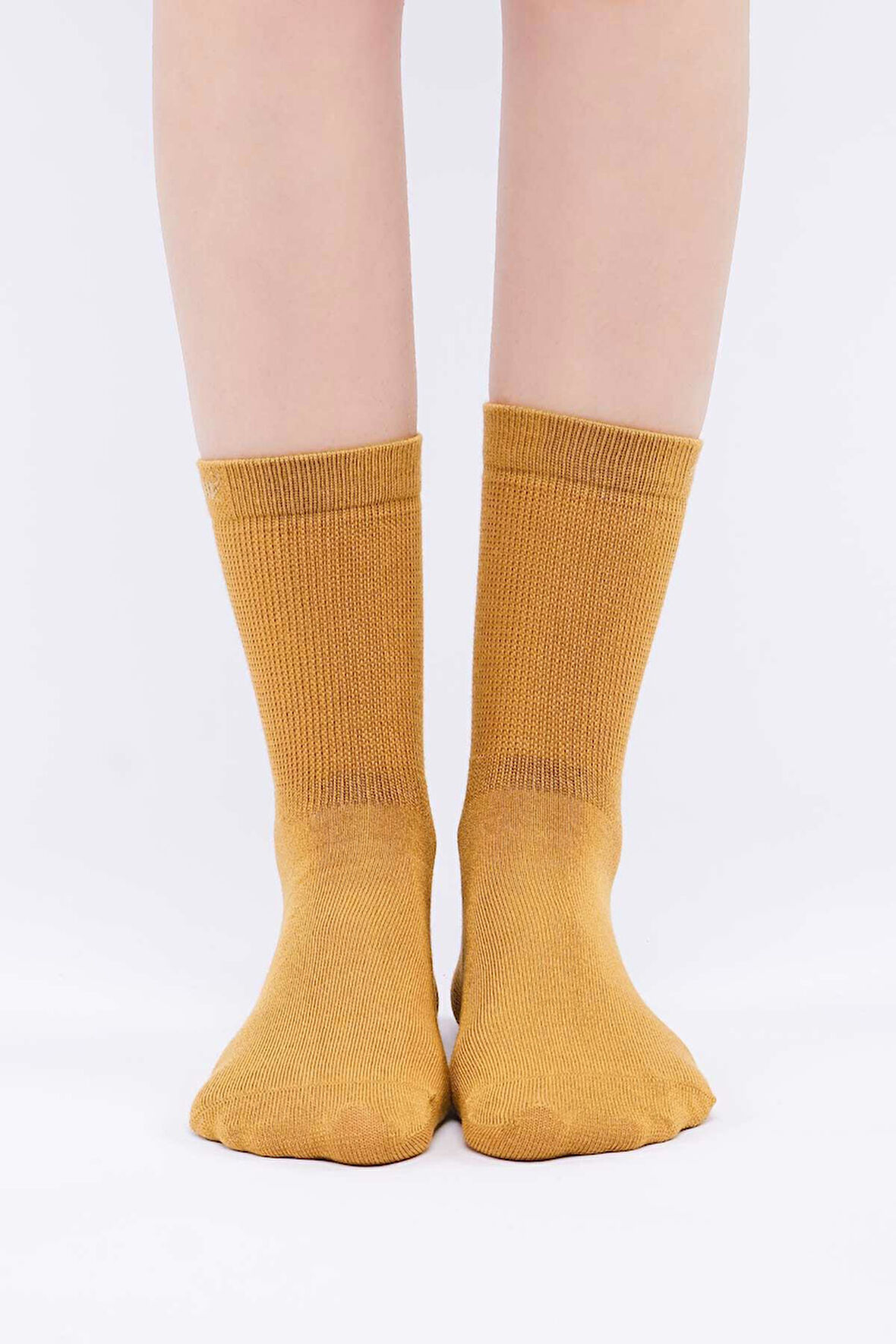 Mısırlı Kadın Modal Tekli Hardal Soket Çorap M 71001 HR