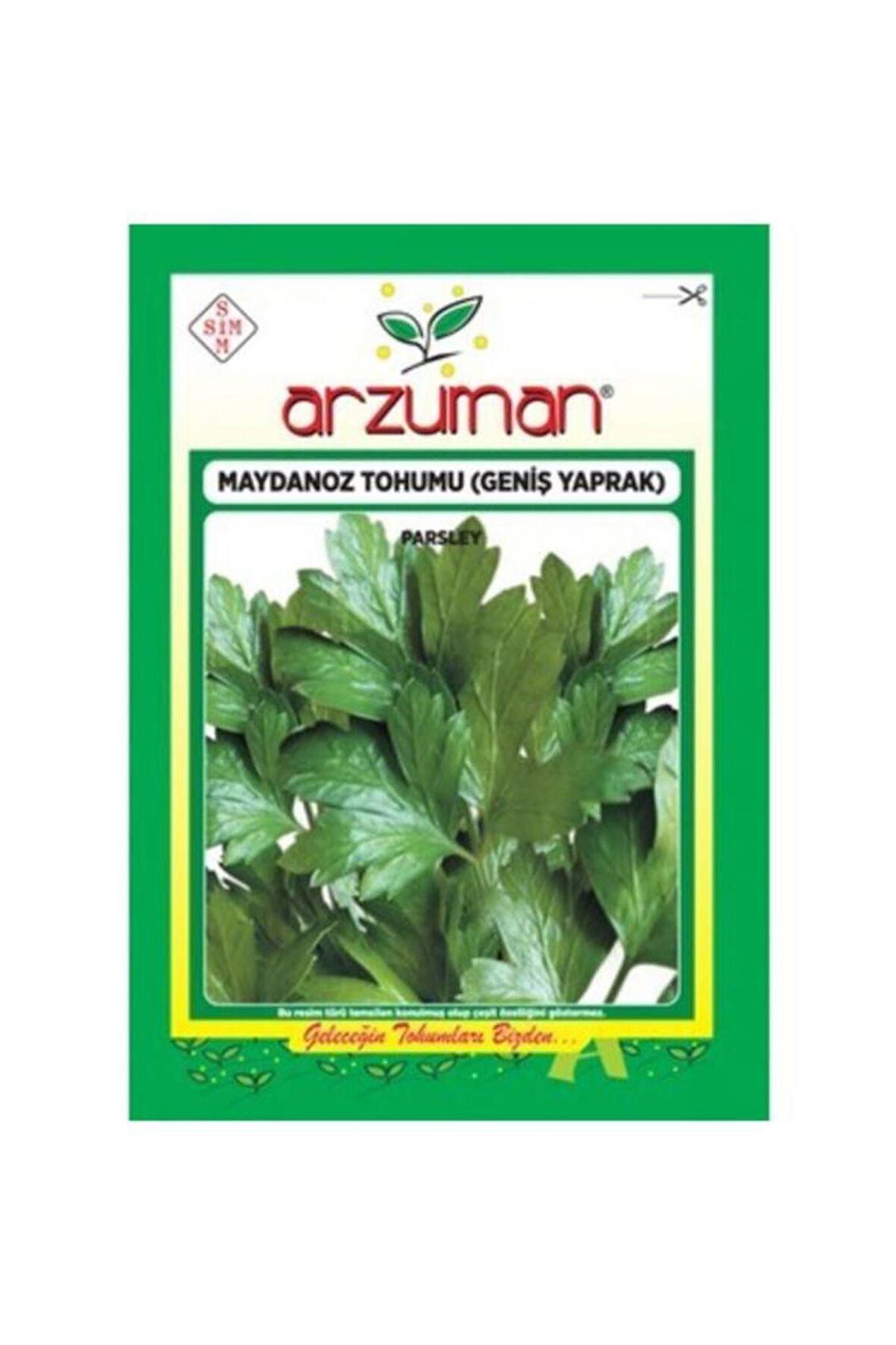 D'giant Italiana Maydanoz Tohumu 25 Gram