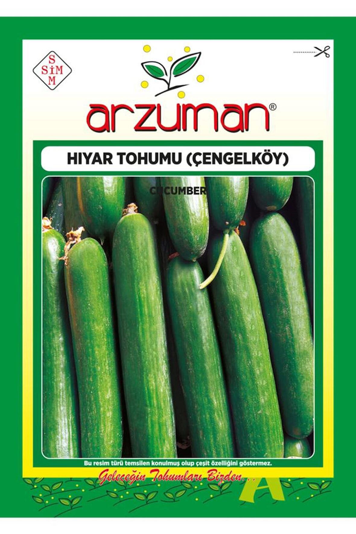 Çengelköy Tipi Hıyar Tohumu 10 Gram