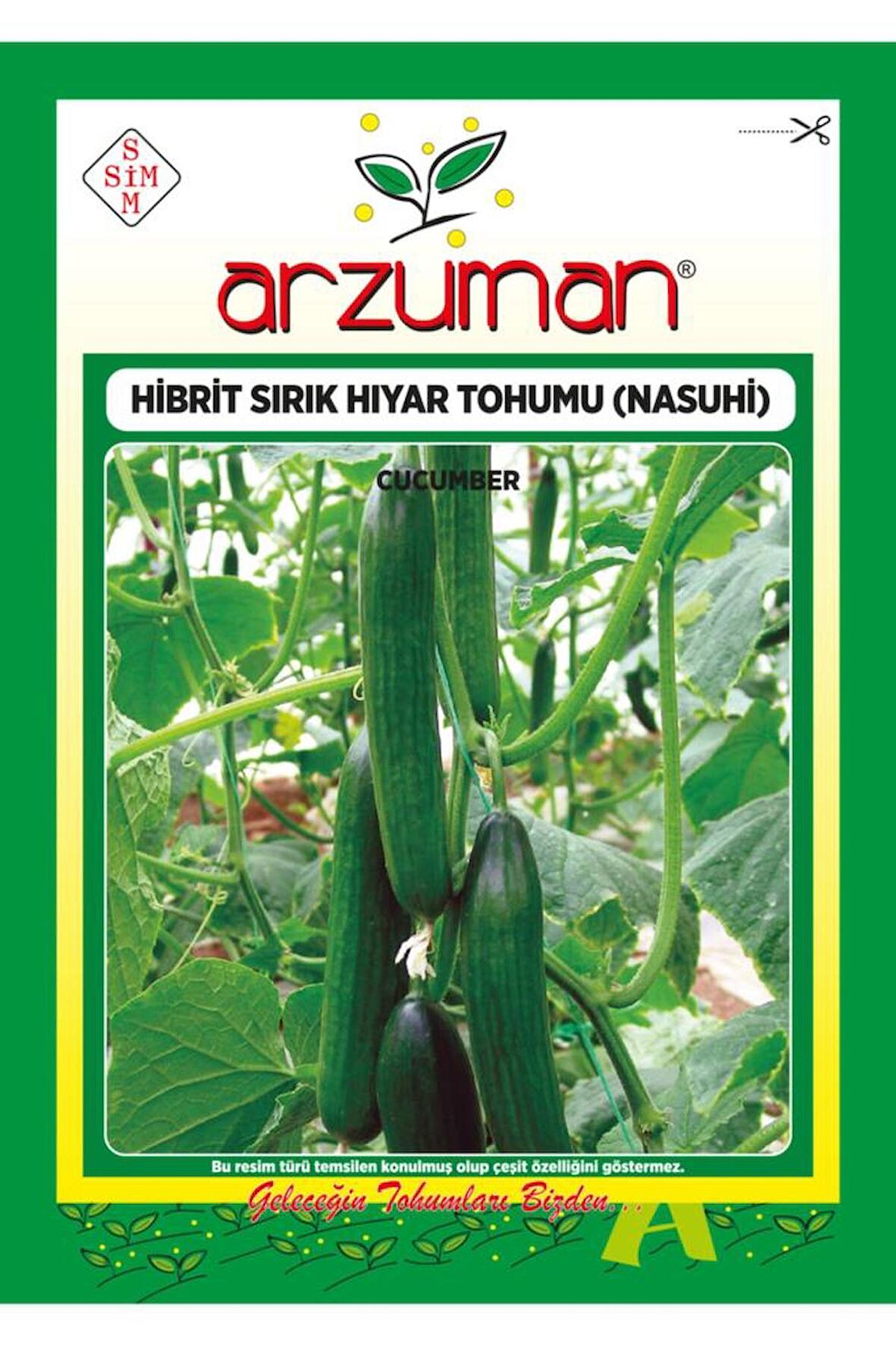 Nasuhi F1 Sırık Hıyar Tohumu 10 Adet