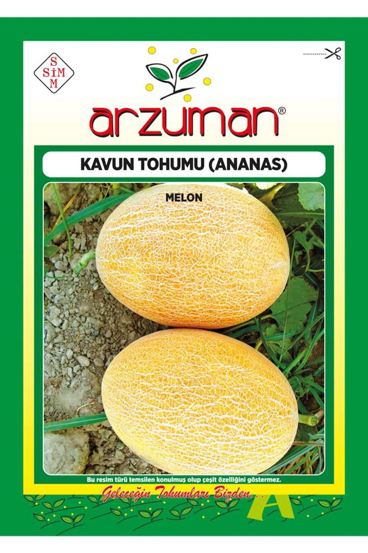 Ananas Kavun Tohumu 10 Gram