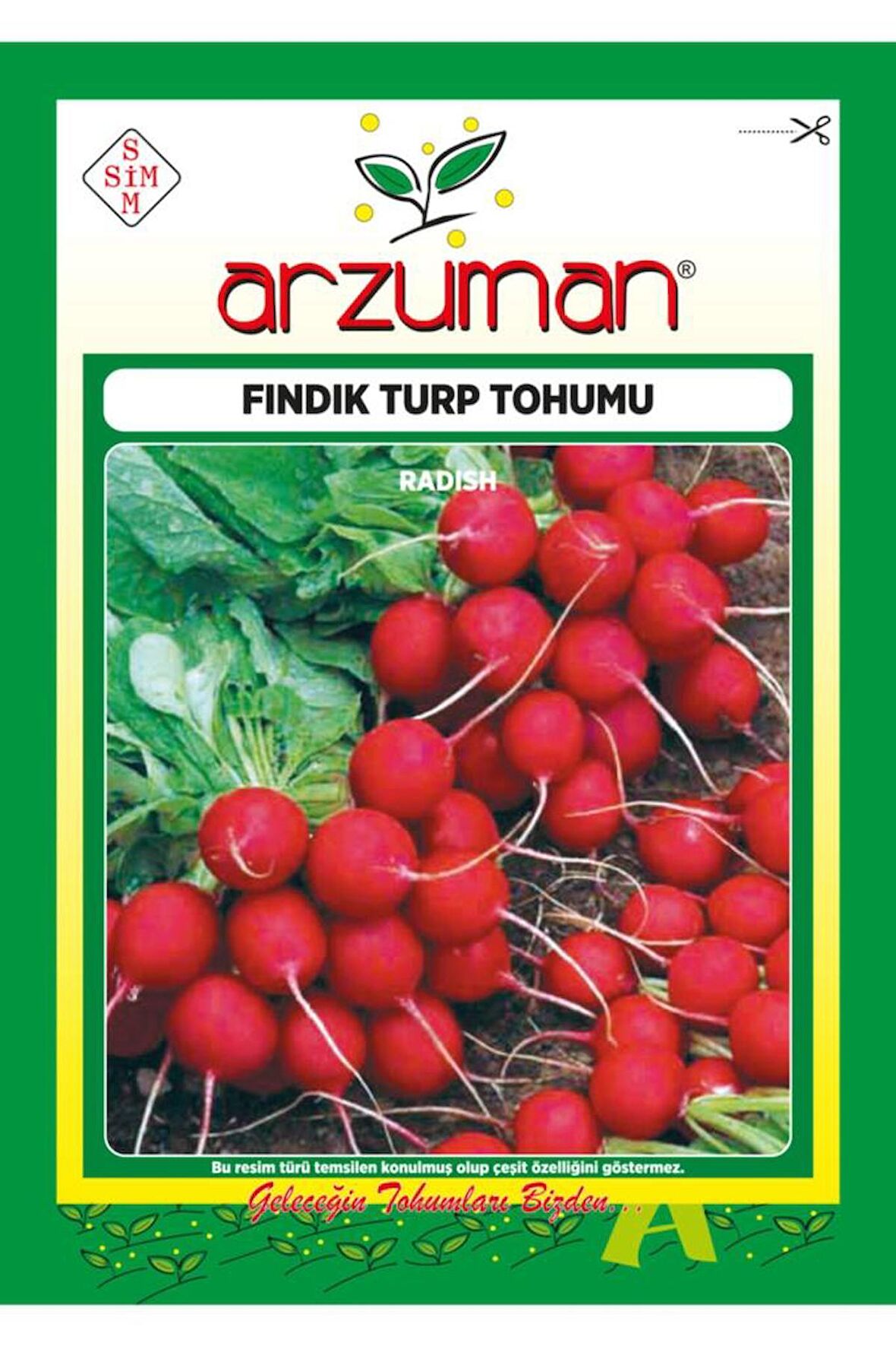 Fındık Turp Tohumu 25 Gram