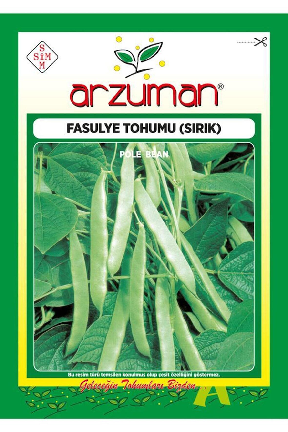 Sırık Fasulye Tohumu 50 Gram