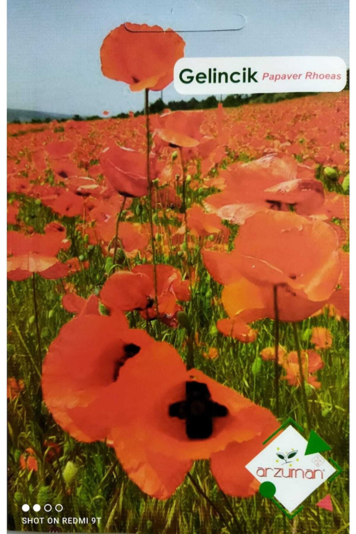 Gelincik Çiçeği Tohumu (50 adet)