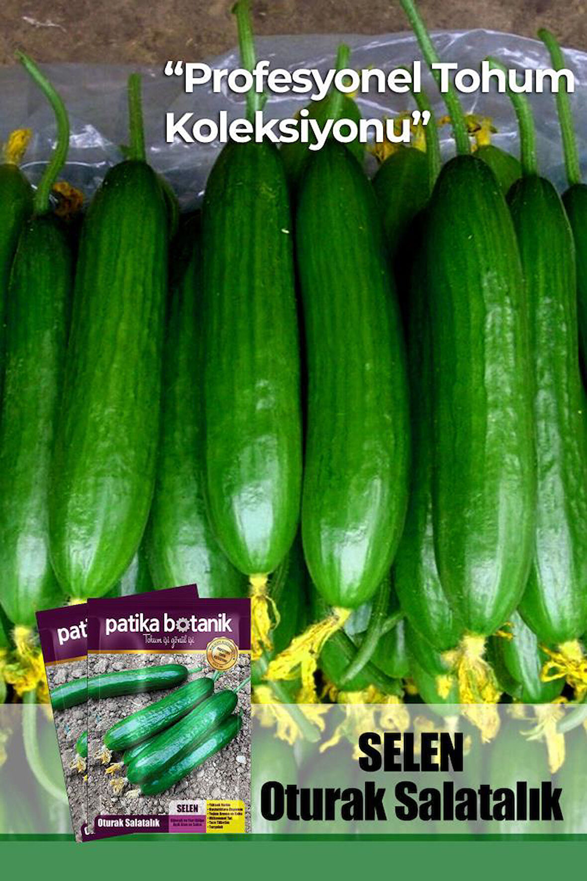 10 Adet Selen Salatalık Tohumu ( Erkenci, Dişi Çiçek)