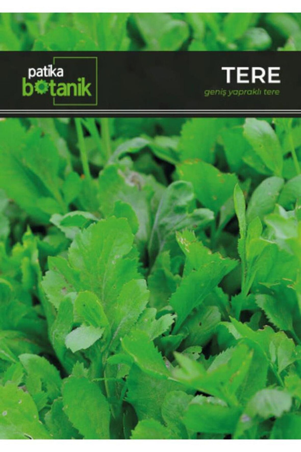 5000 Adet Yerli Tere Tohumu