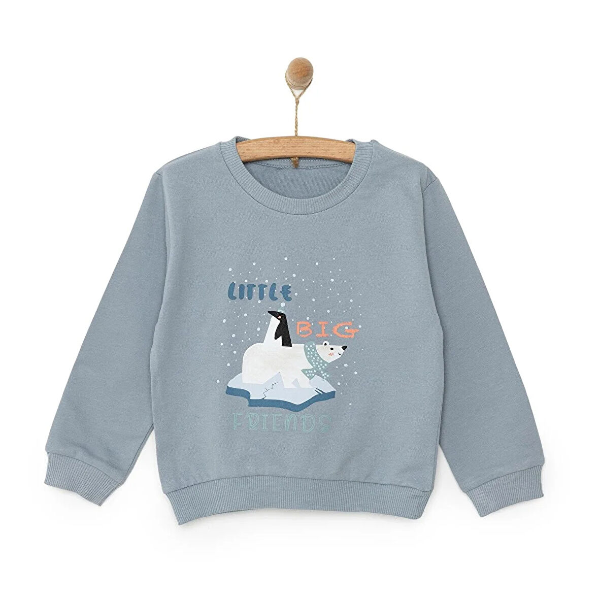 HelloBaby Basic Az Şardonlu Kutup Ayısı Desenli Sweatshirt Erkek Bebek