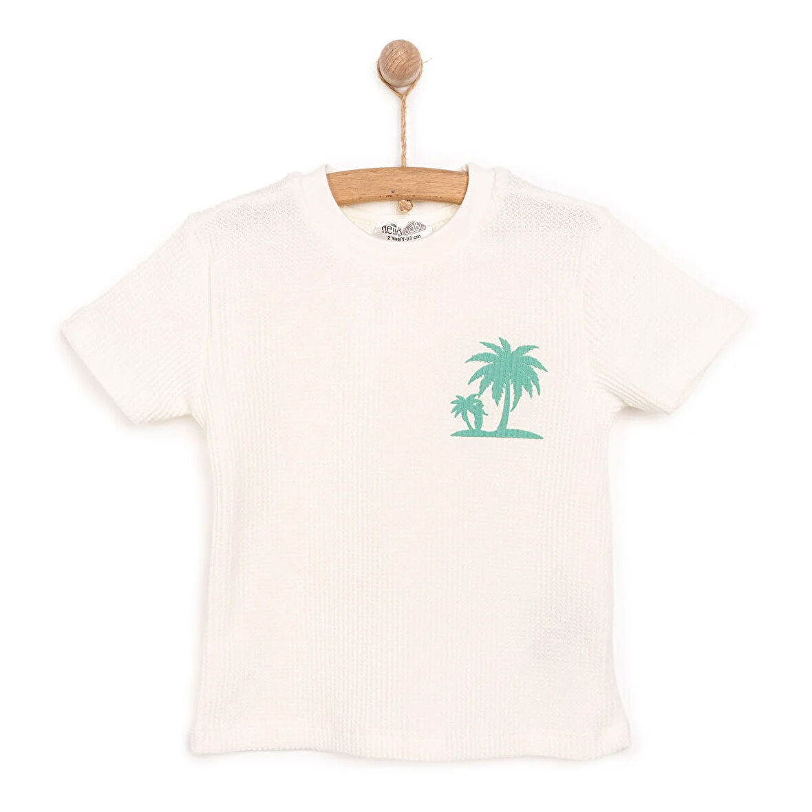 HelloBaby Aqua Dreams Erkek Tshirt Erkek Bebek