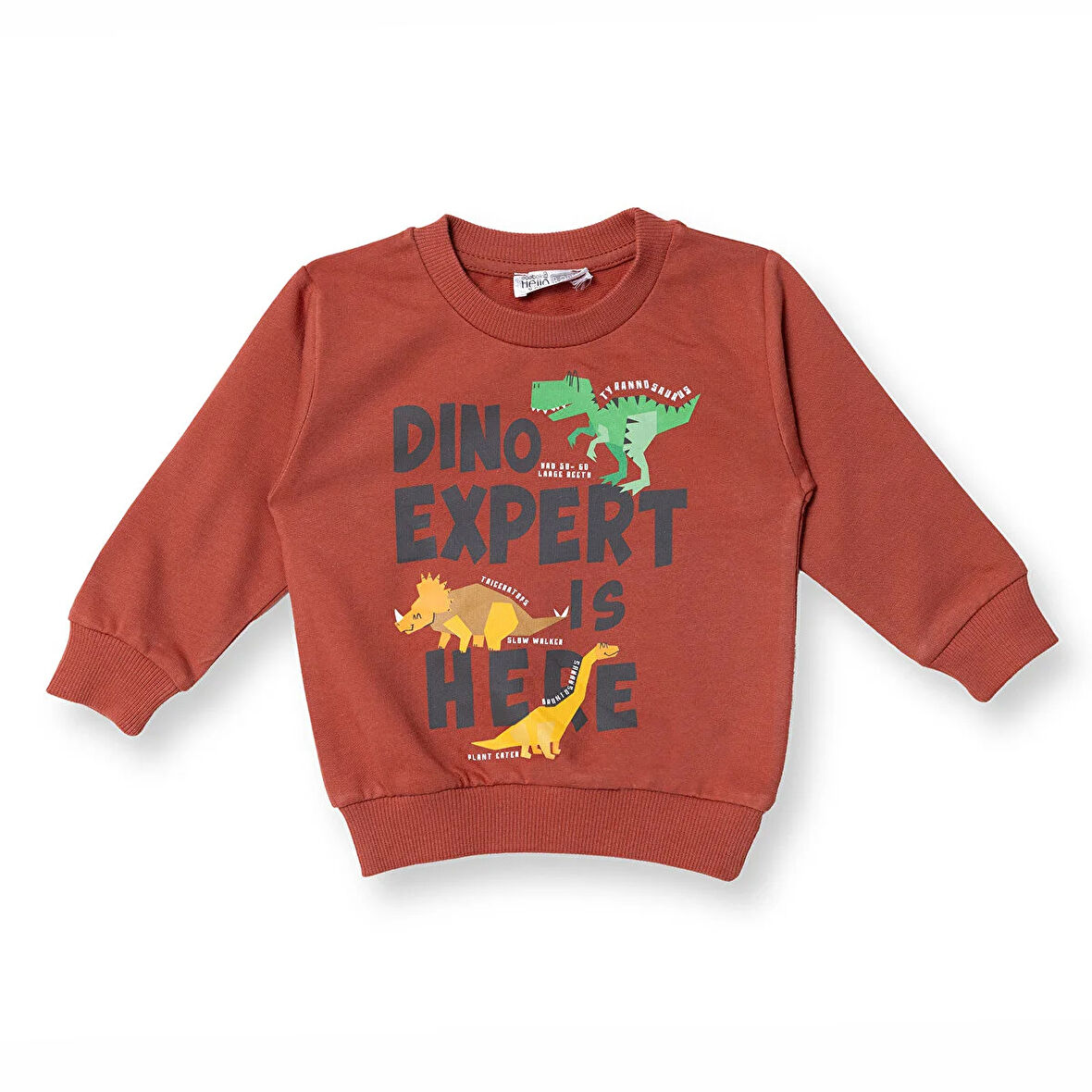 HelloBaby Erkek Bebek Sweatshirt  Dinazor Baskılı Bisiklet Yaka Uzun Kol
