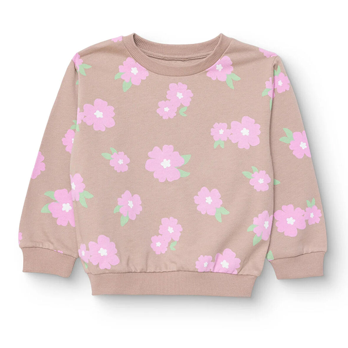 HelloBaby Kız Bebek Basic Sweatshirt Şardonlu Bisiklet Yaka Uzun Kol