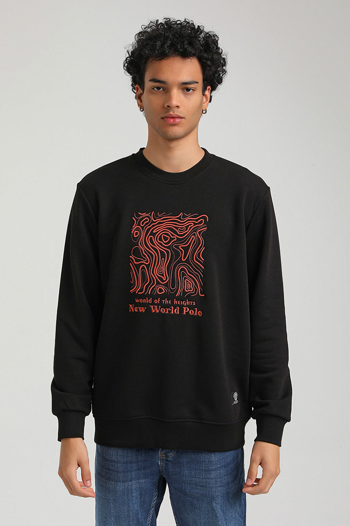 Bisiklet Yaka Siyah Slim Fit Sweatshirt 23FWM60153