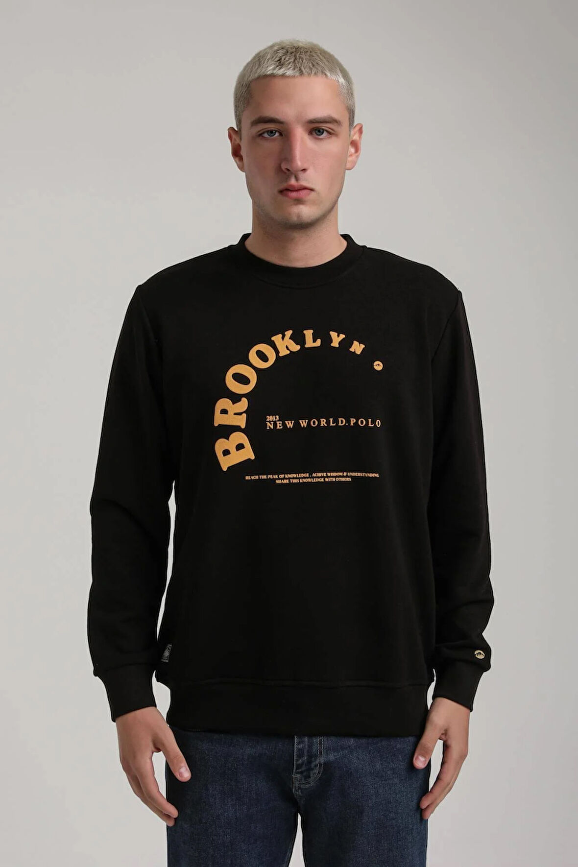 Bisiklet Yaka Siyah Slim Fit Sweatshirt 24FWM60172