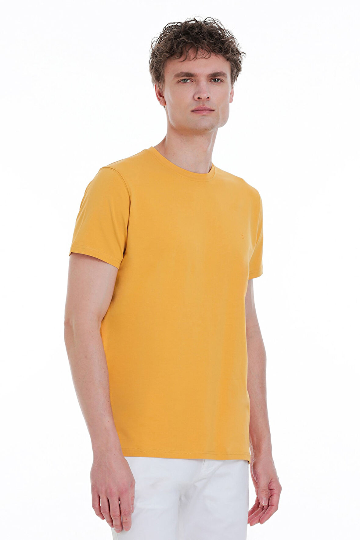 Sarı Regular Fit Bisiklet Yaka Pamuklu Tişört | XXL