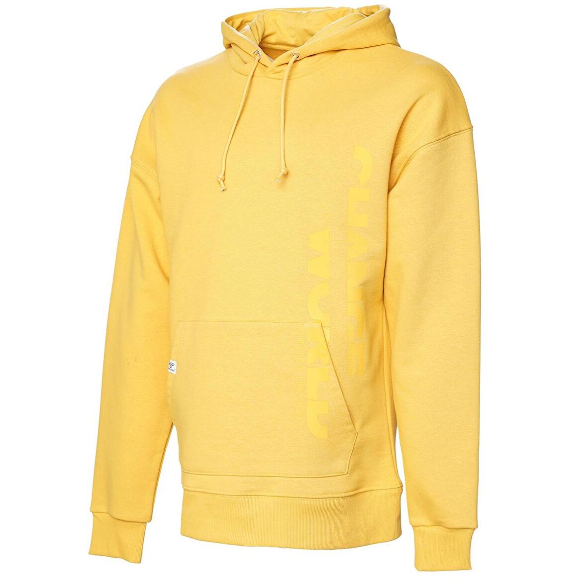 Hummel Caleb Hoodie 921755-2523