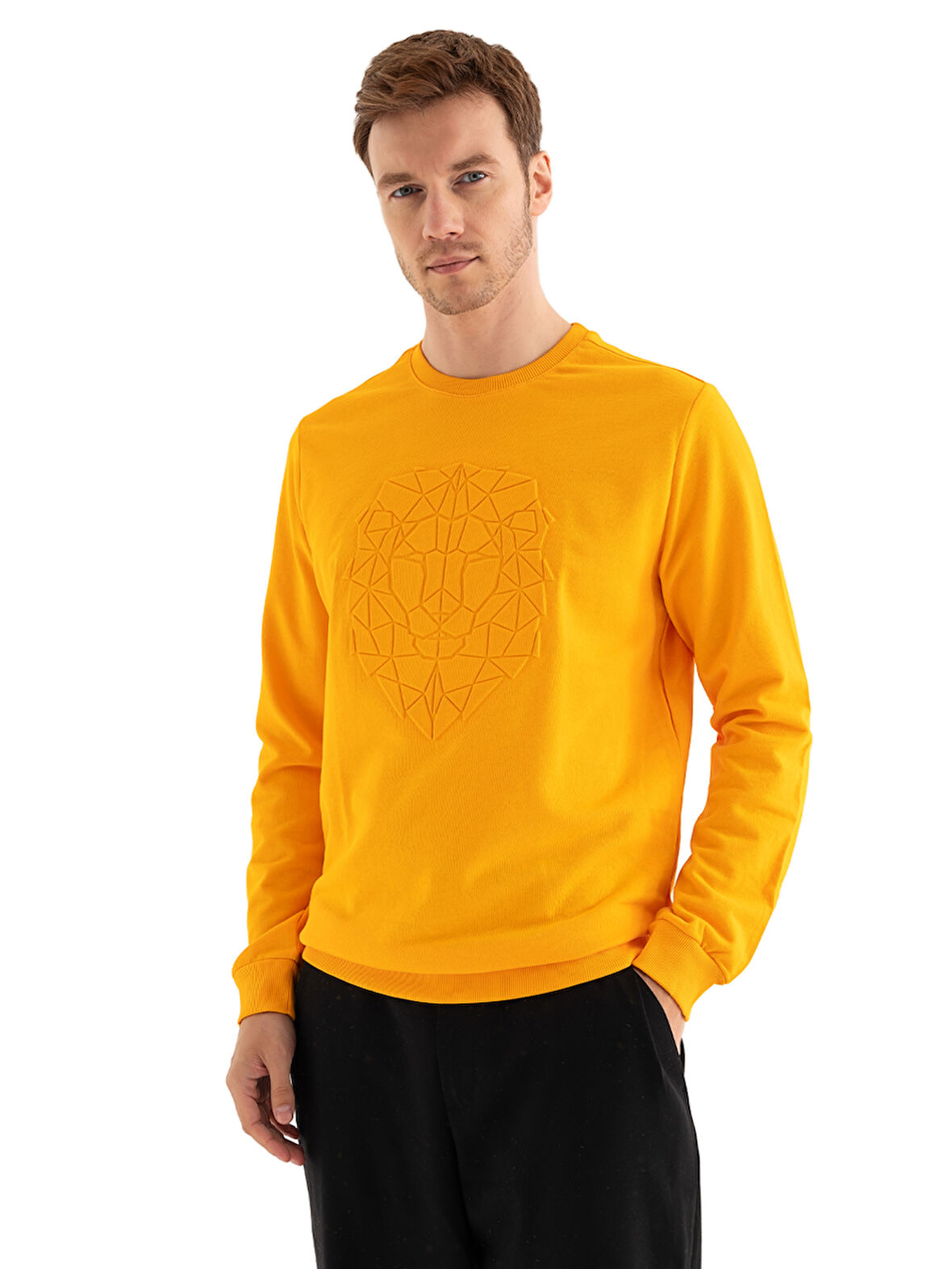 Galatasaray Erkek Sweatshirt E232181