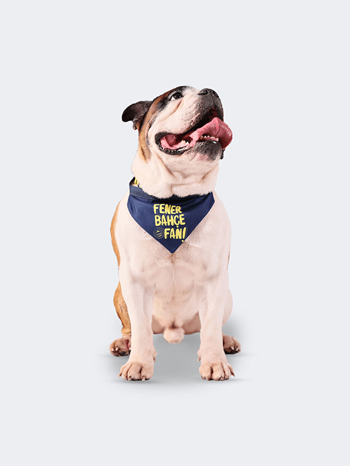 FB FAN PET BANDANA LACİ