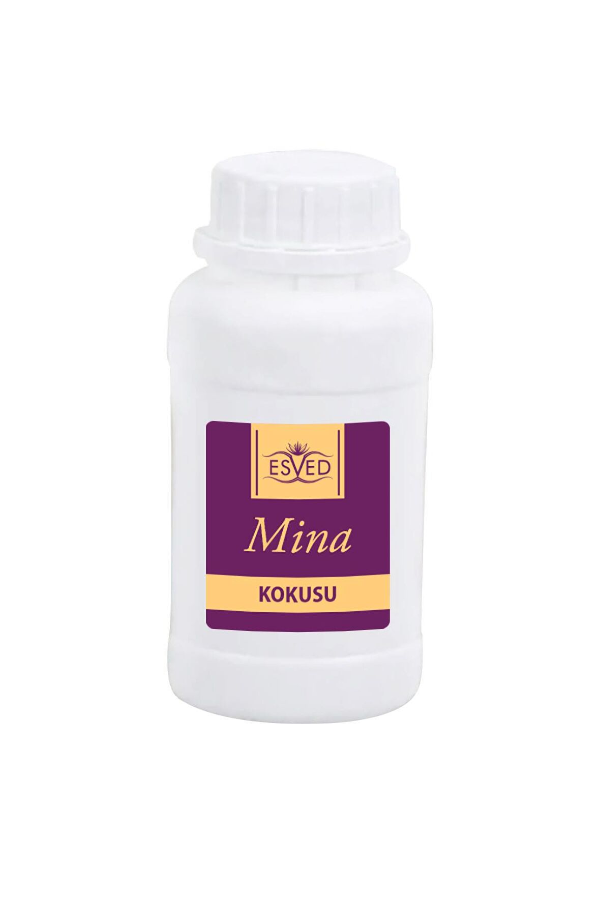 Mina Kokusu Çubuklu Koku Bambu Kokusu Yedek Dolum Şişesi 100Ml