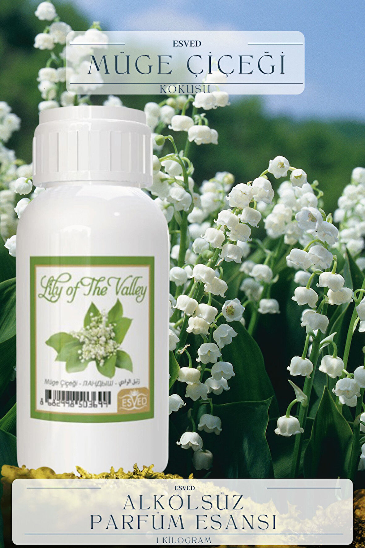 Müğe Çiçeği Kokusu  Toptan Parfüm Esansı 1 Kilogram