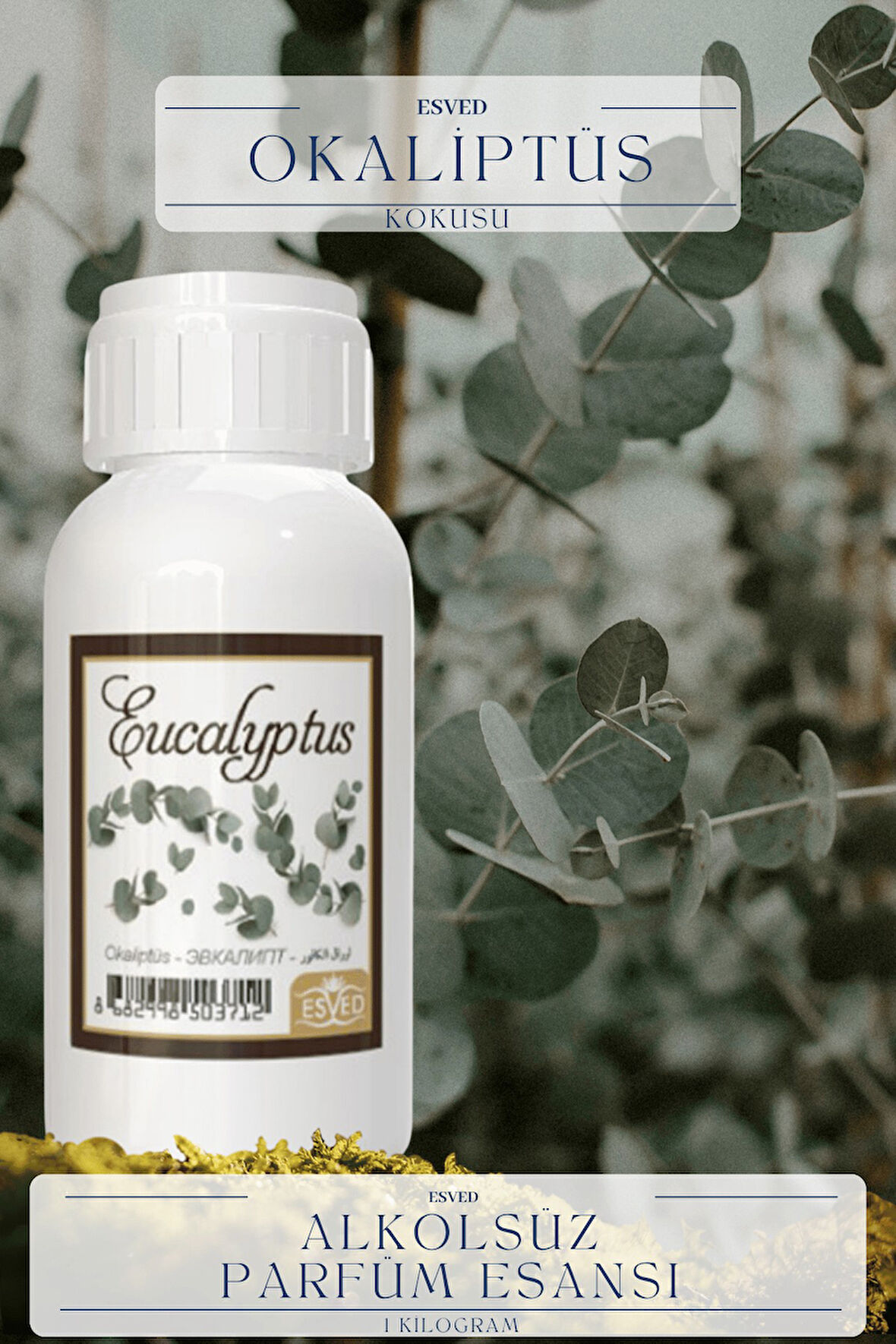 Okaliptus Kokusu  Toptan Parfüm Esansı 1 Kilogram