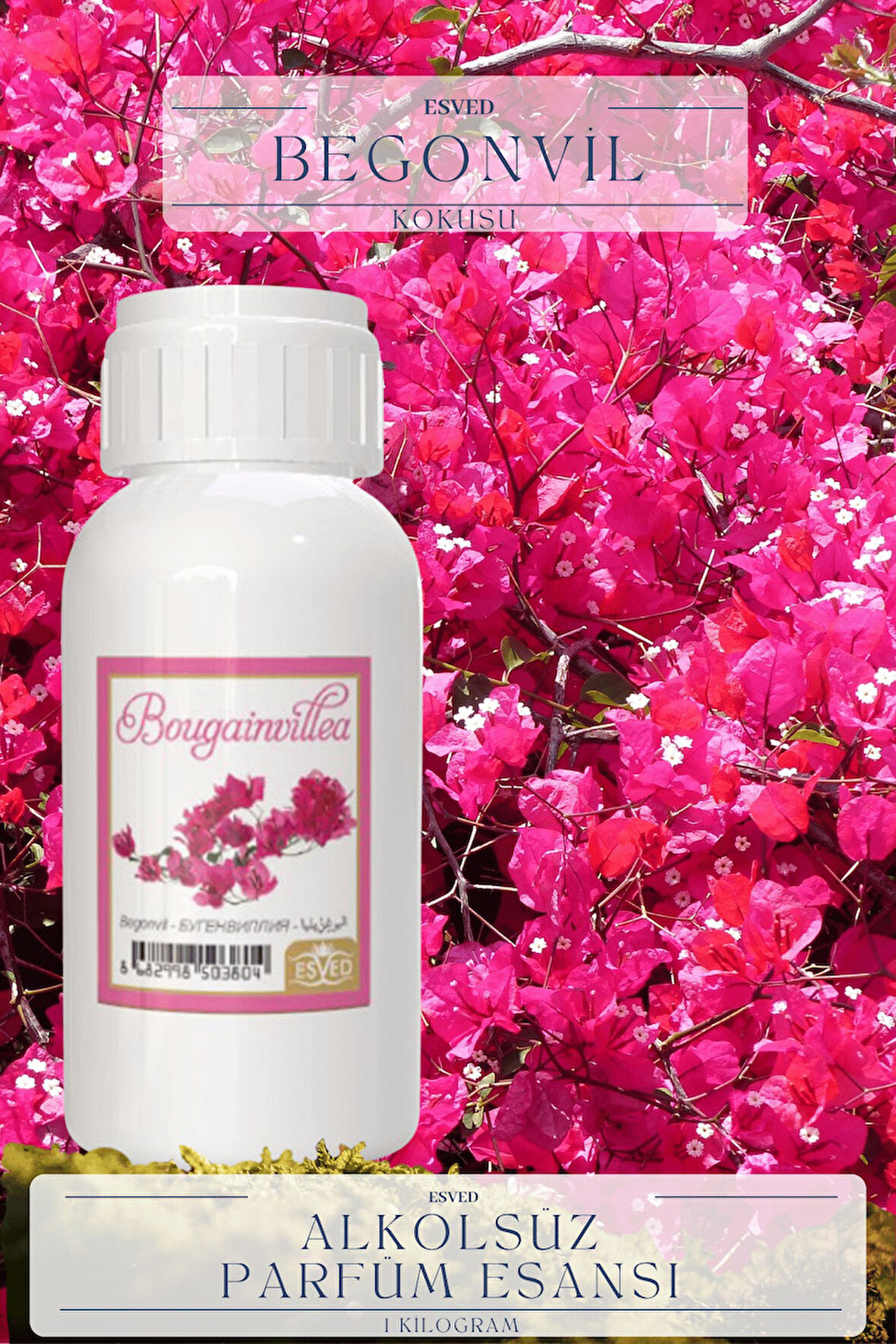 Begonvil Kokusu Toptan Parfüm Esansı 1 Kilogram