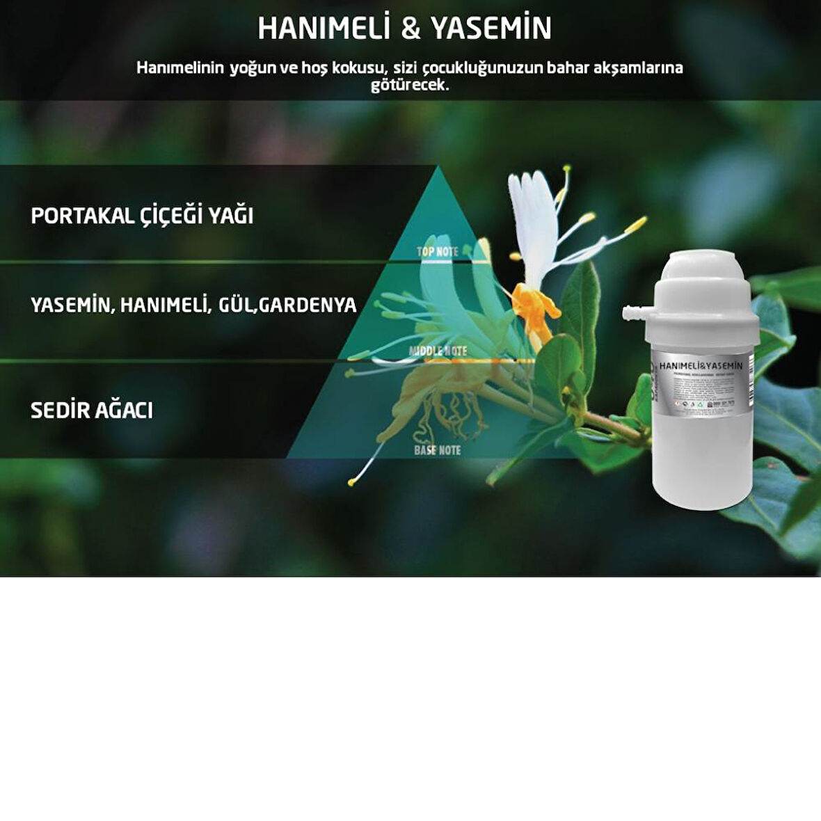Rulopak Hanımeli Yasemin Koku Kartuşu 100 ml (M7)