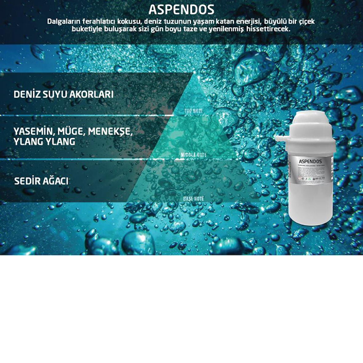 Rulopak Aspendos Koku Kartuşu 100 ml (M7)