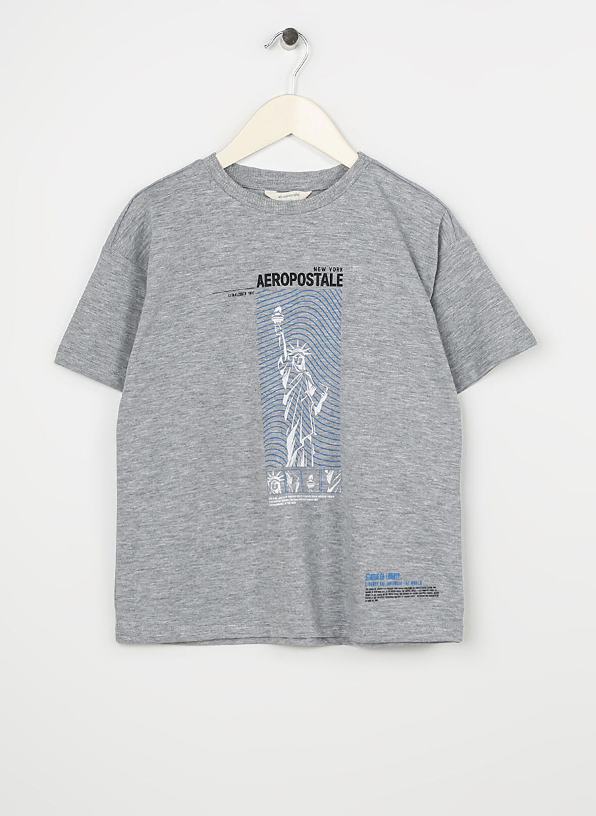 Aeropostale Baskılı Gri Melanj Erkek Çocuk T-Shirt 23SAB-07