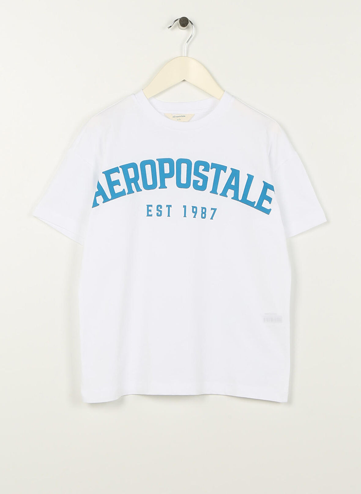 Aeropostale Ekru Erkek Çocuk Bisiklet Yaka Oversize Baskılı T-Shirt 23SAB-31