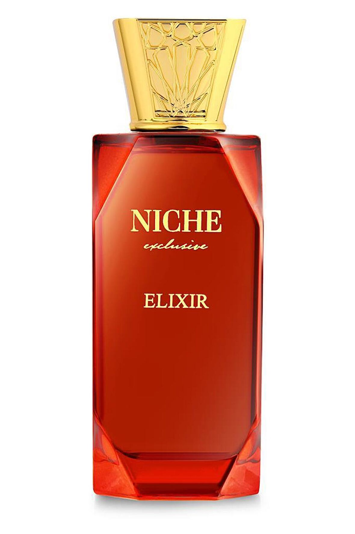 Niche Exclusive Elixir EDP 100 ML