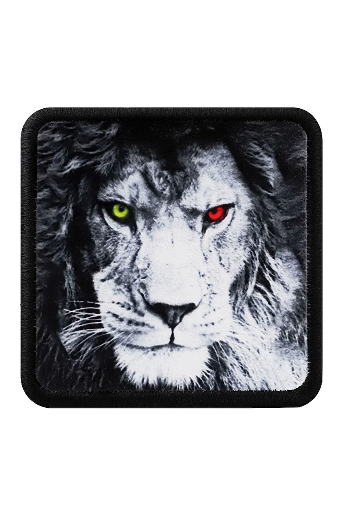 Aslan Logolu