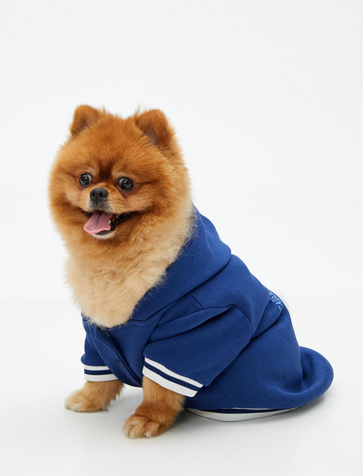 Kapüşonlu Köpek Sweatshirt Baskılı Ribanalı İçi Polarlı
