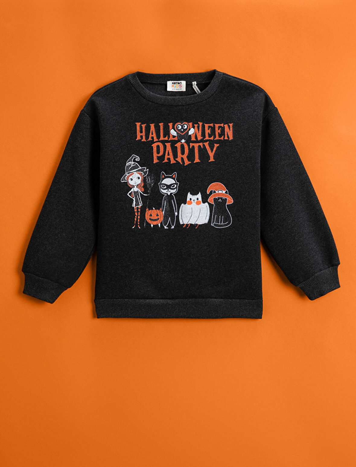 Baskılı Sweatshirt Bisiklet Yaka Uzun Kollu