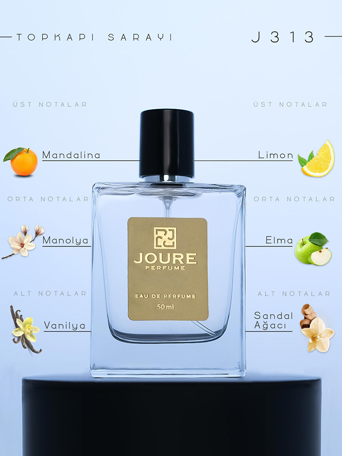 JOURE J313 - ODUNSU AROMATİK FERAH KOKULU 50ML KALICI EDP ERKEK PARFÜM