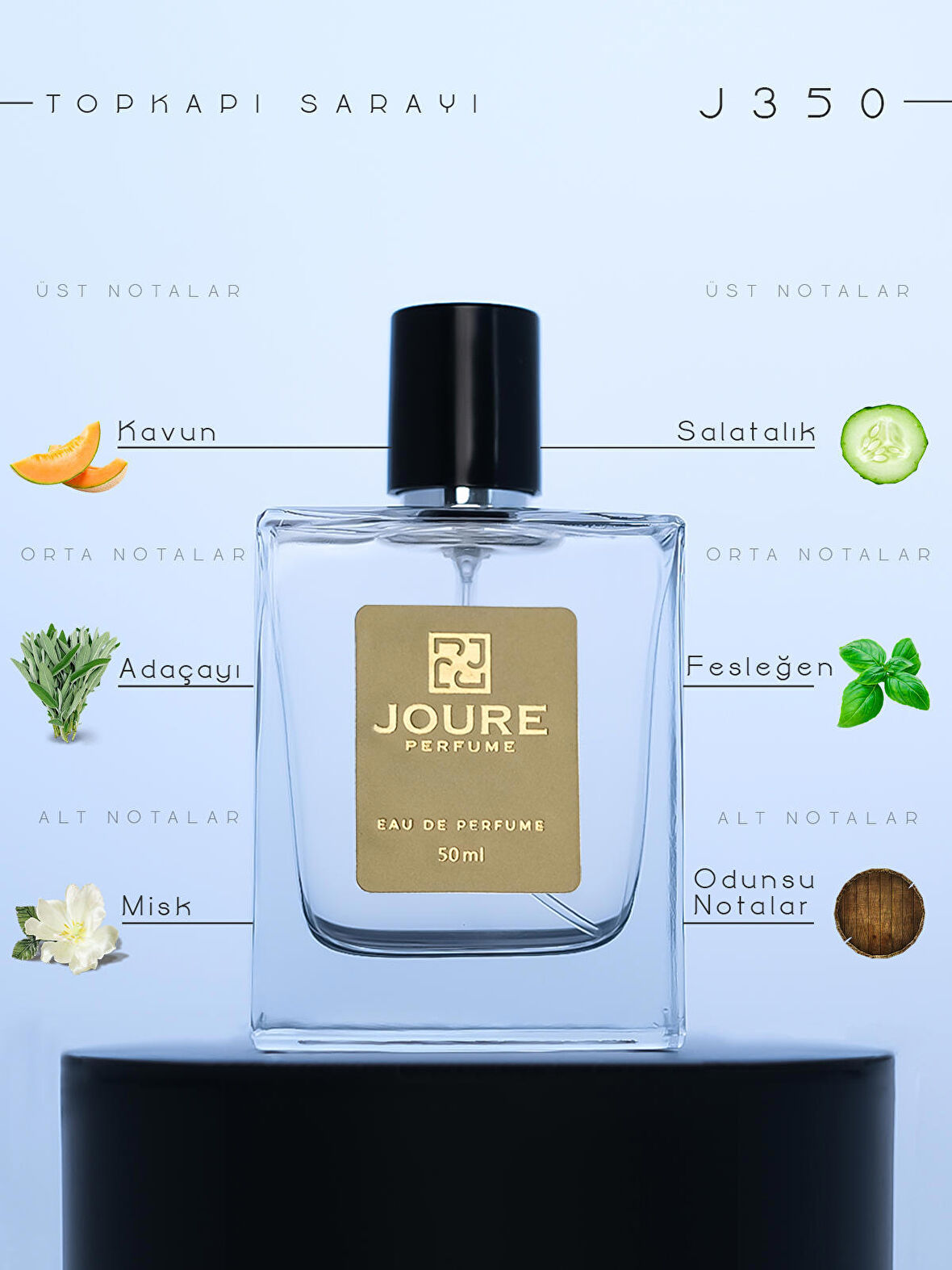 JOURE J350 - TAZE BAHARATLAR MEYVELİ FERAH FRESH KOKULU 50ML KALICI EDP ERKEK PARFÜM