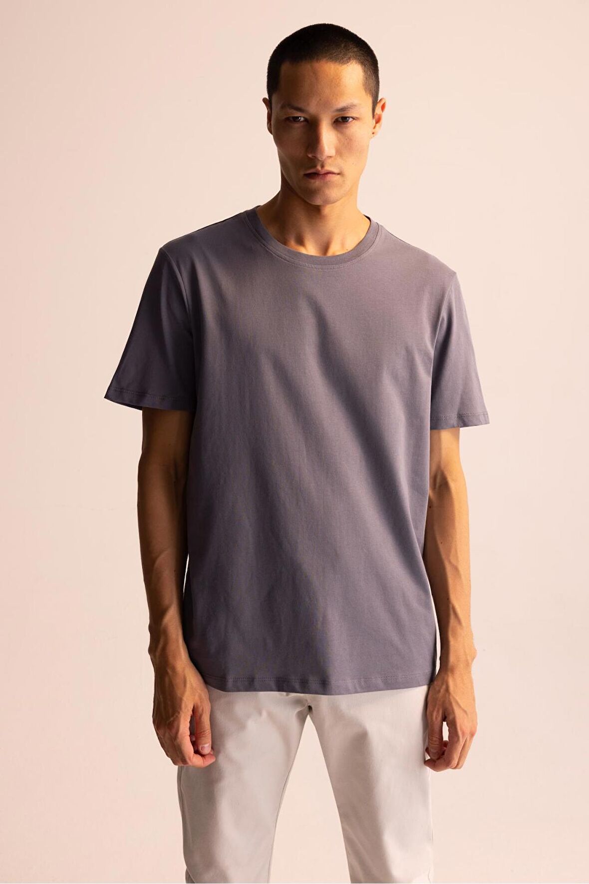 DeFacto Regular Fit Bisiklet Yaka Basic Kısa Kollu %100 Pamuk Tişört M7666AZ23SPGR439