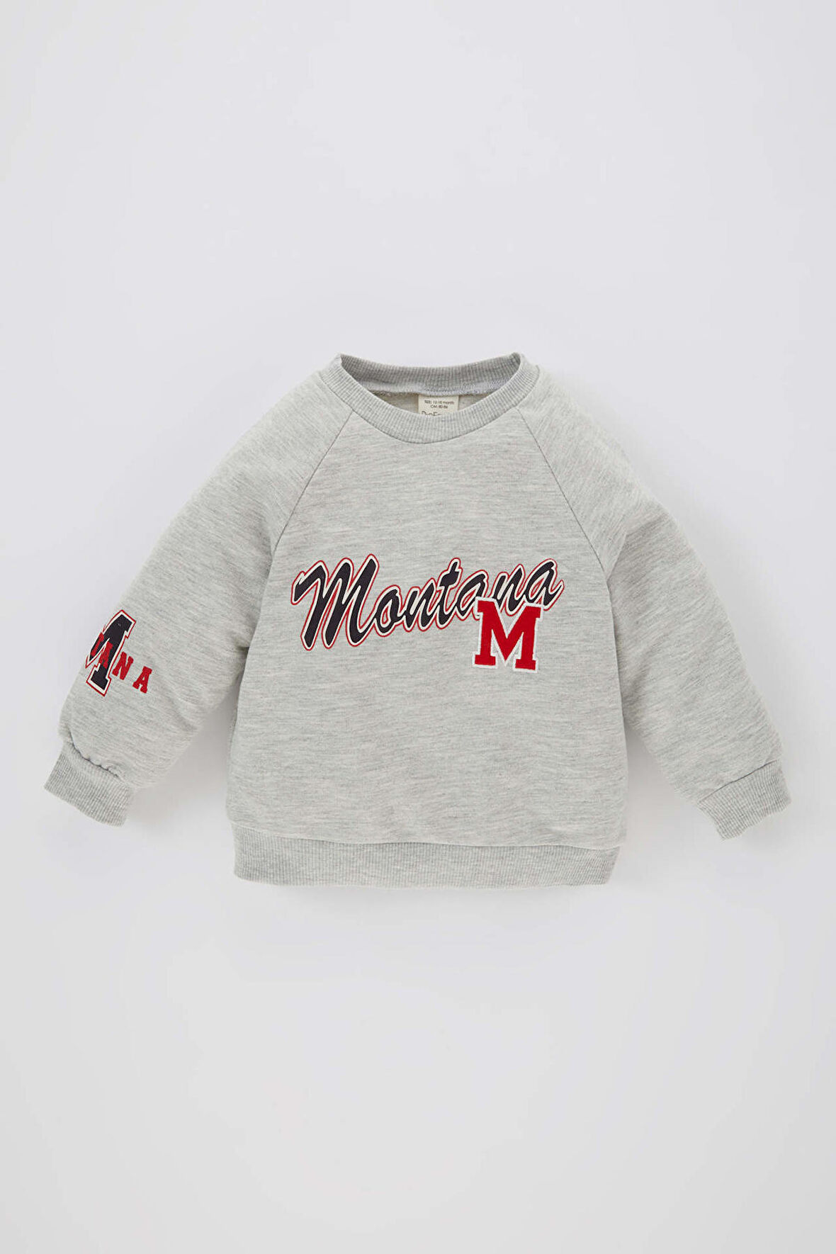 DeFacto Erkek Bebek Bisiklet Yaka Baskılı İçi Yumuşak Tüylü Sweatshirt B8543A524SPGR398